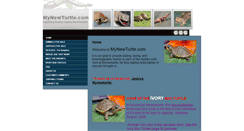 Desktop Screenshot of mynewturtle.com
