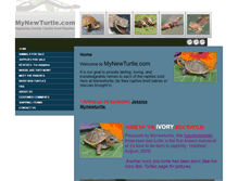 Tablet Screenshot of mynewturtle.com